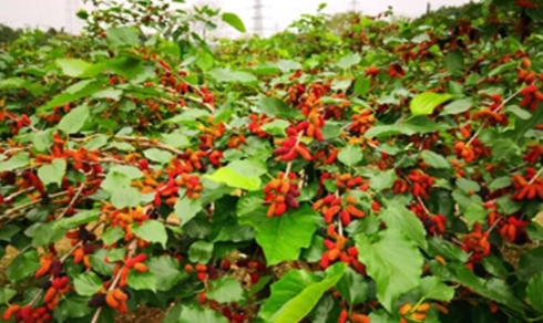 梦幻海景度假屋