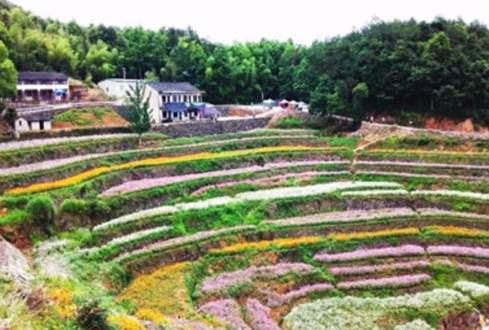 乡野农庄，清新体验:农庄度假攻略